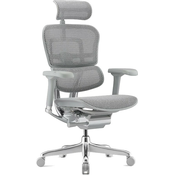 Ergonomska stolica Antares - ERGOHUMAN 2 ELITE GREY, siva