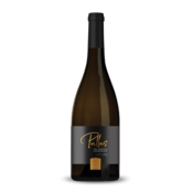 ptujska-klet Vino Bela klevna Artisan Ptujska Klet 0,75 l