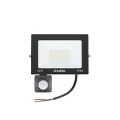 Reflektor LED 30W s senzorjem gibanja hladno bele barve 14619