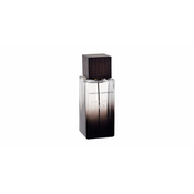 Pascal Morabito Black Granit 100 ml toaletna voda muškarac Za muškarce