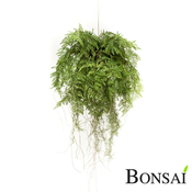 Viseča dekoracija - praprot krogla premer 56cm - 51 do 70 cm