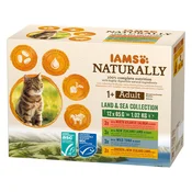 IAMS Delights Adult v želeju 12 x 85 g  - Kopno & morje miks