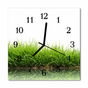 tulup.si Steklena kvadratna ura Grass 30x30 cm