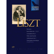 LISZT:HITS & RARITIES