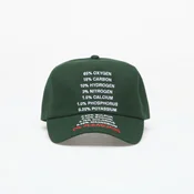 Čepica PLEASURES Atmosphere Snapback Forest Universal