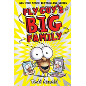 Fly Guys Big Family (Fly Guy #17)