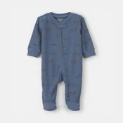 Carters zeka dr, decaci
