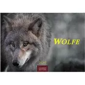 Wölfe Kalender 2027 - Wandkalender | Fotokalender Tierkalender 24x35cm - . mit faszinierenden Wolf-Motiven,