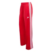 ADIDAS SPORTSWEAR Športne hlače Dayready rdeča / bela