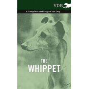 Whippet - A Complete Anthology of the Dog