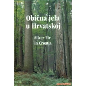 OBICNA JELA U HRVATSKOJ - SILVER FIR IN CROATIA