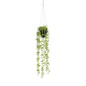 Dekordom 1083464 Cvet u saksiji eucalyptus 54cm - green - edl ( 040439 )