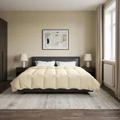 Vidaxl Poletna odeja Šonerisan krema 240 x 260 cm Mikrovlakna