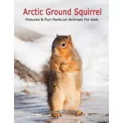 Arctic Ground Squirrel: Pictures and Fun Facts on Animals for Kids