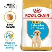Royal Canin | Puppy Labrador Retriever hrana za mladiče