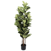 Umetna figa Lyrata 150 cm UV v loncu - 101 do 150 cm