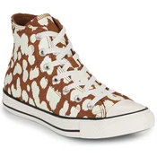 Converse  -  Kostanjeva