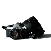 COMPAGNON remen the bold strap black