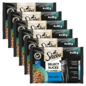 Sheba Select Slices Konzervice riblji izbor u umaku 6 x (4 x 85 g)