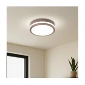 Brilagi - LED spoljna plafonska svetiljka BENE LED/18W/230V fi 21,5 cm braon IP54