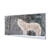 tulup.si Stenska plošča za kuhinjo Wolf zimski gozd 125x50 cm