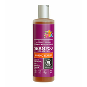 URTEKRAM Šampon za normalnu kosu Nordic berries, (5765228836514)
