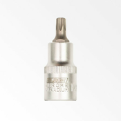 Blade gedora torx T30 ( BGEDT30 )
