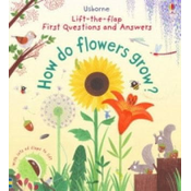 How do flowers grow?