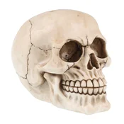Dekoracija (hranilnik) Skull - 816-574