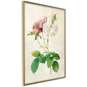 Poster - Romance I 20x30