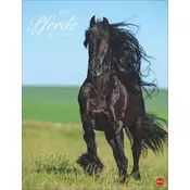 Pferde Classics Posterkalender 2027