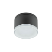 Redo 90107 - LED spoljno plafonsko svetlo AKRON LED/9W/230V IP54