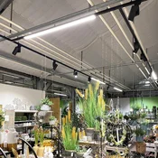 Deko-Light LED tirna svetilka LINEAR PRO črna 930 60 cm 3-krožna DALI - Študija/pisarna - prometna črna RAL 9017 - Aluminij