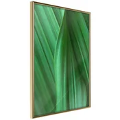 Poster - Leaf Structure 30x45