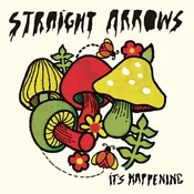 Straight Arrows - Its Happening (LP)
