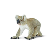 Safari Koala