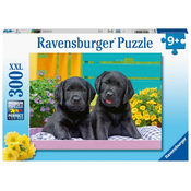 Ravensburger Puzzle Black Labradors XXL 300 kosov