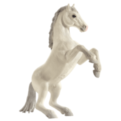 Mojo Animal Planet Konj Mustang beli