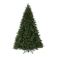 Božićna drvca