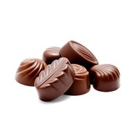 Čokolade in čokoladni izdelki
