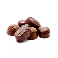 Čokolade i čokoladni proizvodi