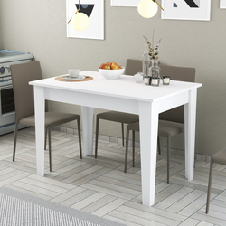 Hanah Home Trpezarijski sto Kiev 510 110x75x72cm Beli