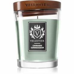 Vellutier Cannabis Connoisseur dišeča sveča 225 g