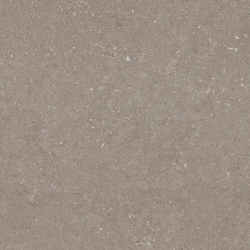 Natural Taupe 60x60