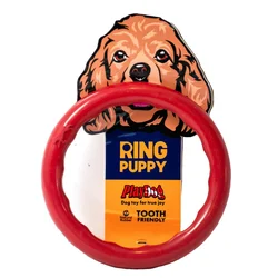 PlayDog Ring puppy