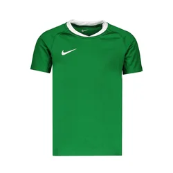 NIKE Funkcionalna majica  zelena / bela