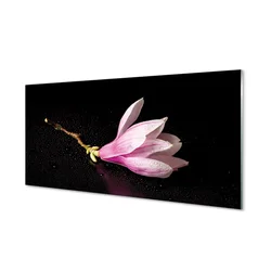 tulup.si Steklena slika Cvet vode 100x50 cm 4 obešalnika