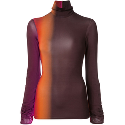 Ellery - Brut turtleneck sweatshirt - women - Multicolour