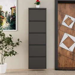 Hanah Home Cipelarnik, 50x169x15 cm, Antracit