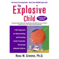 Explosive Child